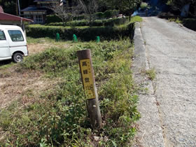 高峰