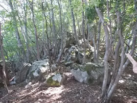 高峰