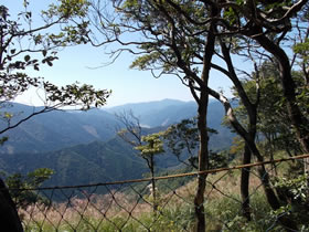 高峰