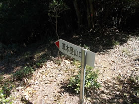 高峰