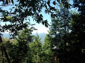 高峰
