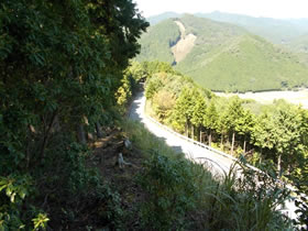 高峰