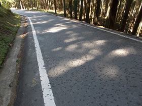 高峰