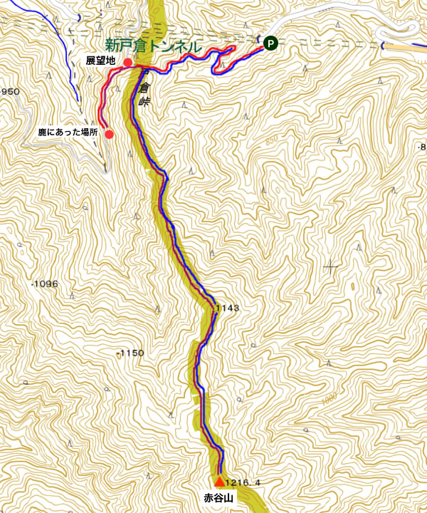 赤谷山