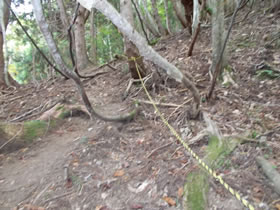 赤谷山