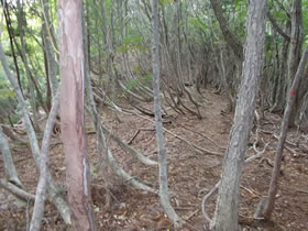 赤谷山