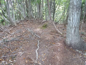 赤谷山