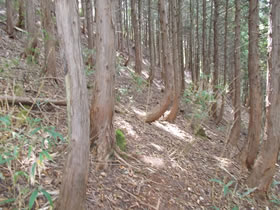 赤谷山