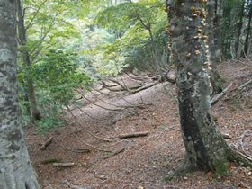 赤谷山