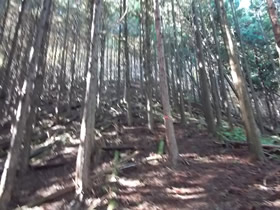 水上山