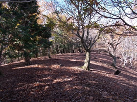 水上山