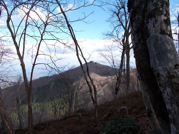 須留ヶ峰
