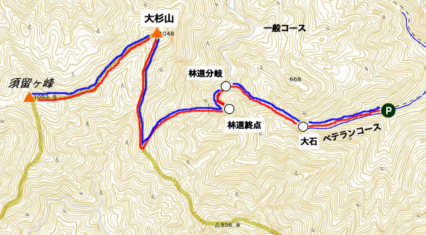 須留ヶ峰