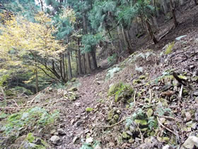 須留ヶ峰
