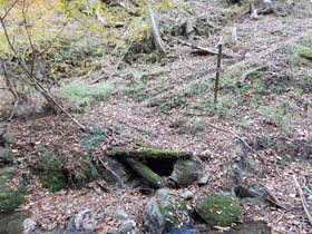 須留ヶ峰