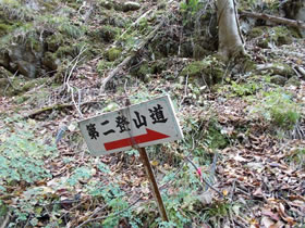 須留ヶ峰