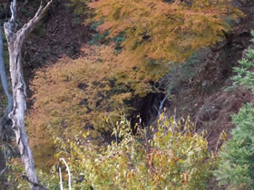 須留ヶ峰