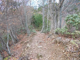 須留ヶ峰