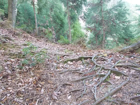 須留ヶ峰