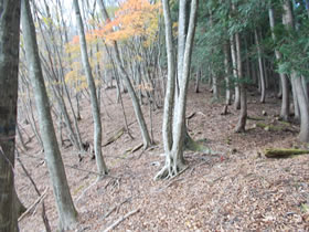 須留ヶ峰