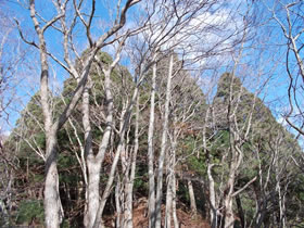 須留ヶ峰