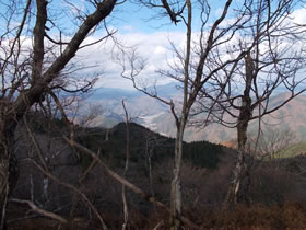 須留ヶ峰