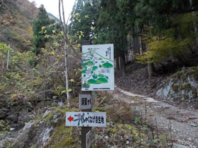 須留ヶ峰
