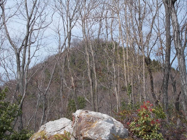 大嶽山