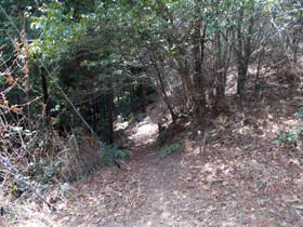 大嶽山