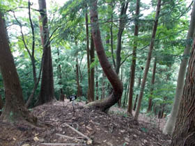朝来山