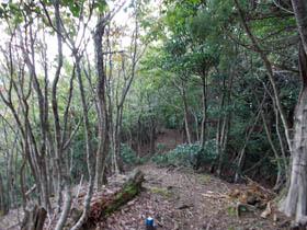朝来山
