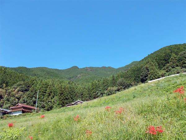 白岩山