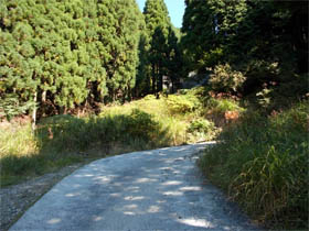 白岩山