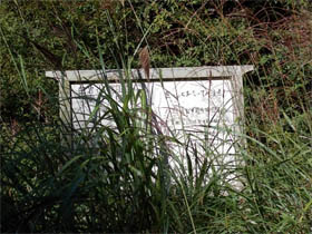 白岩山