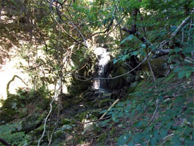 白岩山