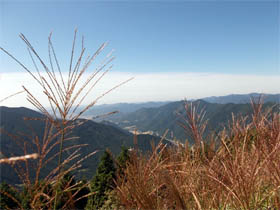 白岩山