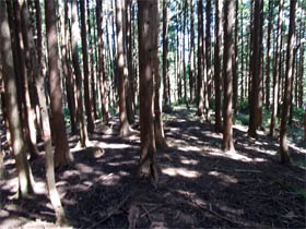 白岩山