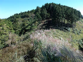 白岩山