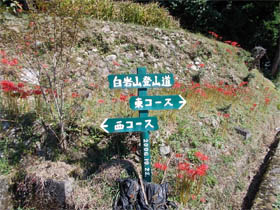 白岩山