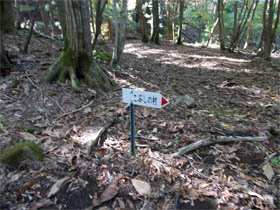 千町ヶ峰