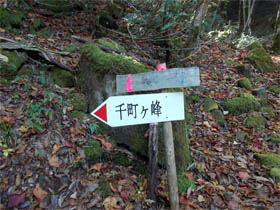 千町ヶ峰