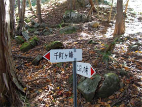 千町ヶ峰