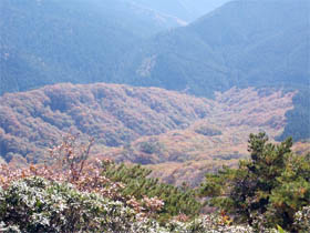 千町ヶ峰