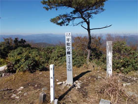 千町ヶ峰