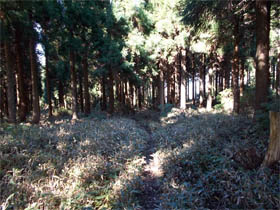 千町ヶ峰