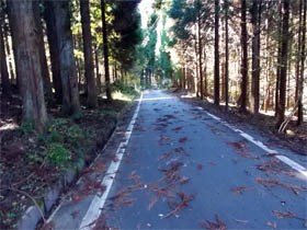 千町ヶ峰