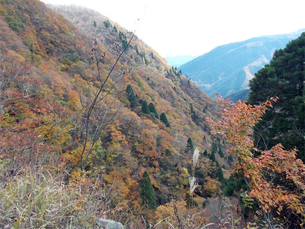 段ヶ峰