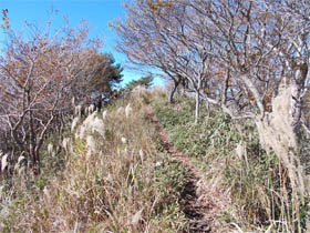段ヶ峰