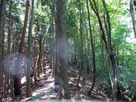 大段山