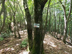 大段山